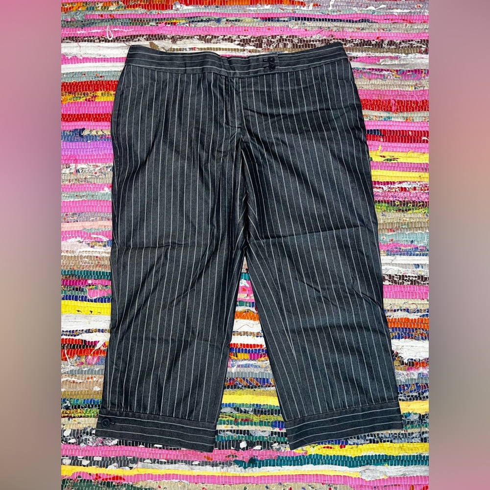 Capris | Express—“Editor”